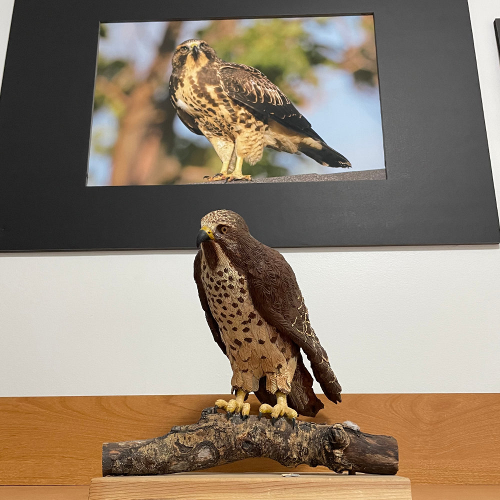 The sculpture on my desk with a large photo of a hawk above it