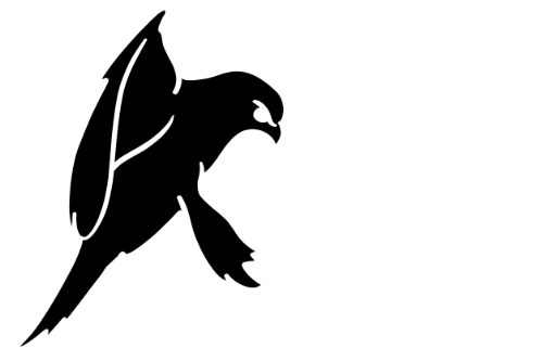 Project Hawk logo dark